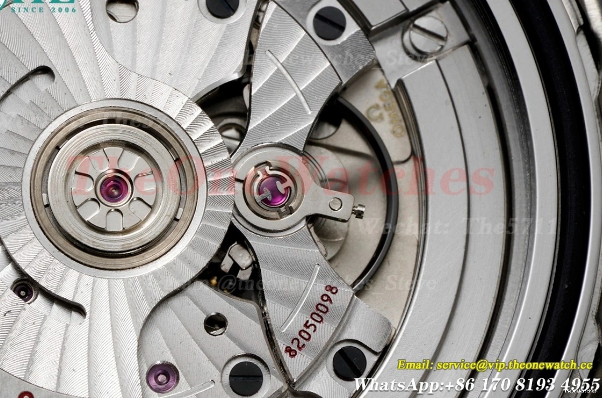 8800 Asia 300m SS 2018 Seamaster ORF Black SS 0113